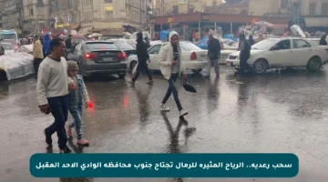 سحب رعدية.. الرياح المثيرة للرمال تجتاح جنوب محافظة الوادي الأحد المقبل